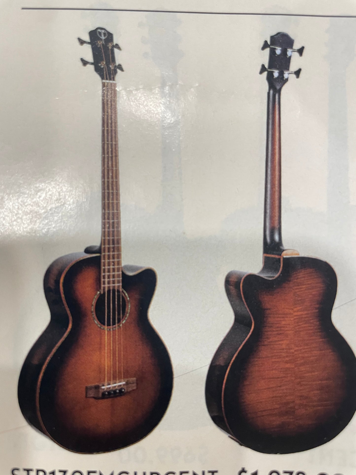Teton Acoustic Bass