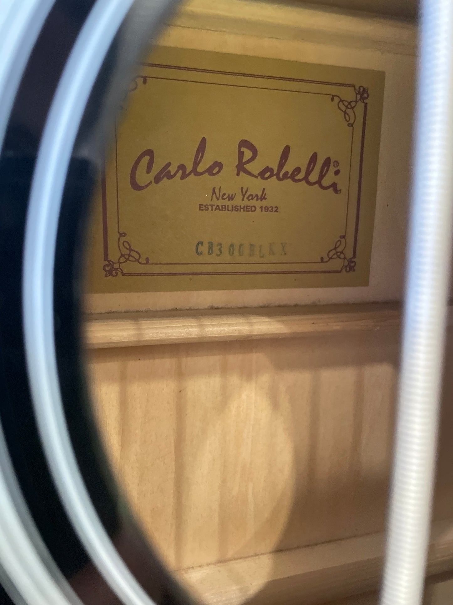 Carlo Robelli Acoustic/Electric Bass Guitar