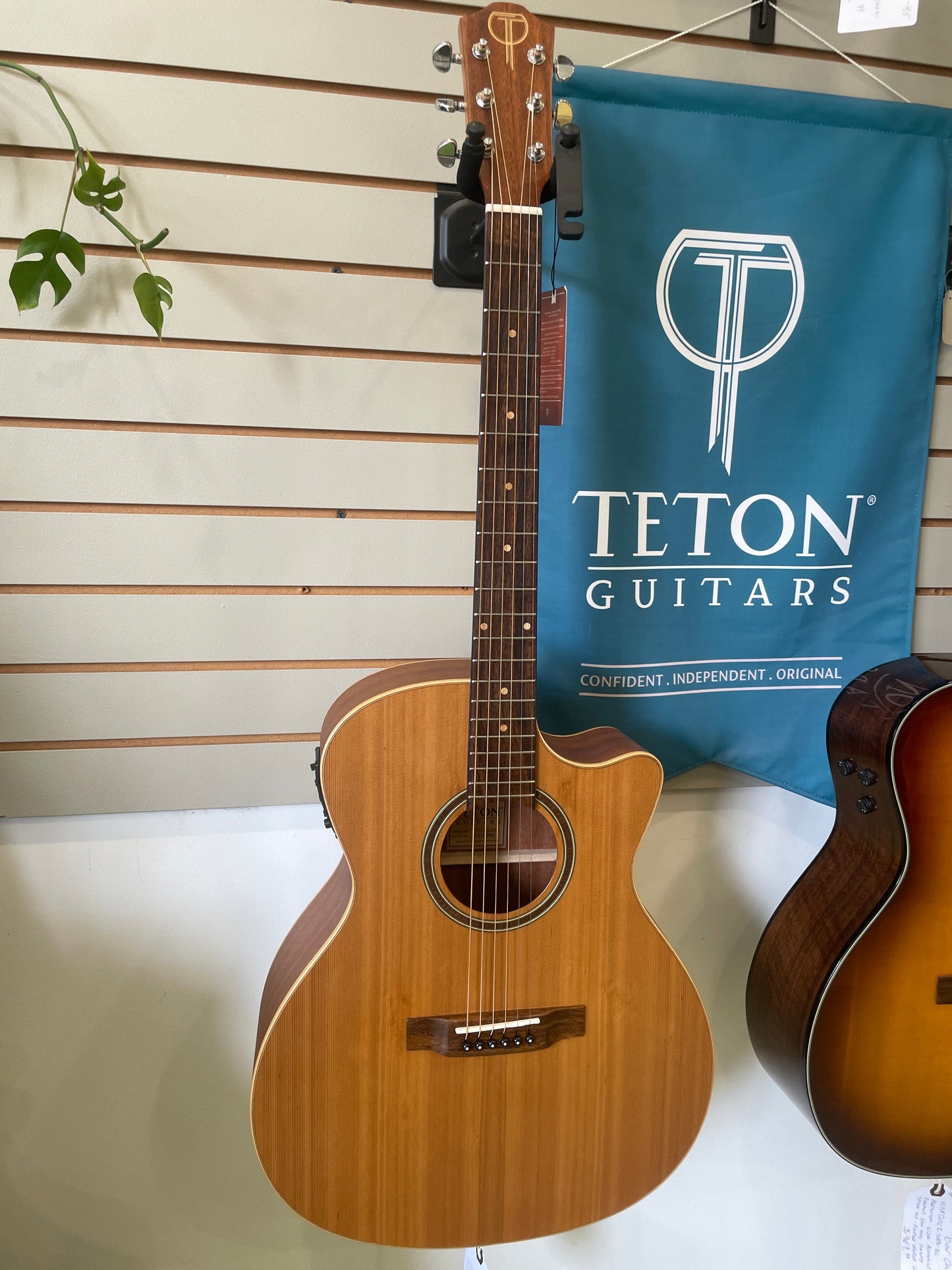 Teton Cedar/Mahogany Acoustic STA105CENT