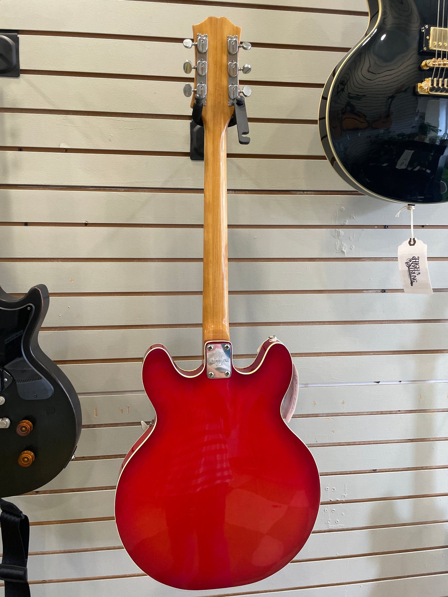 Epiphone EA-250