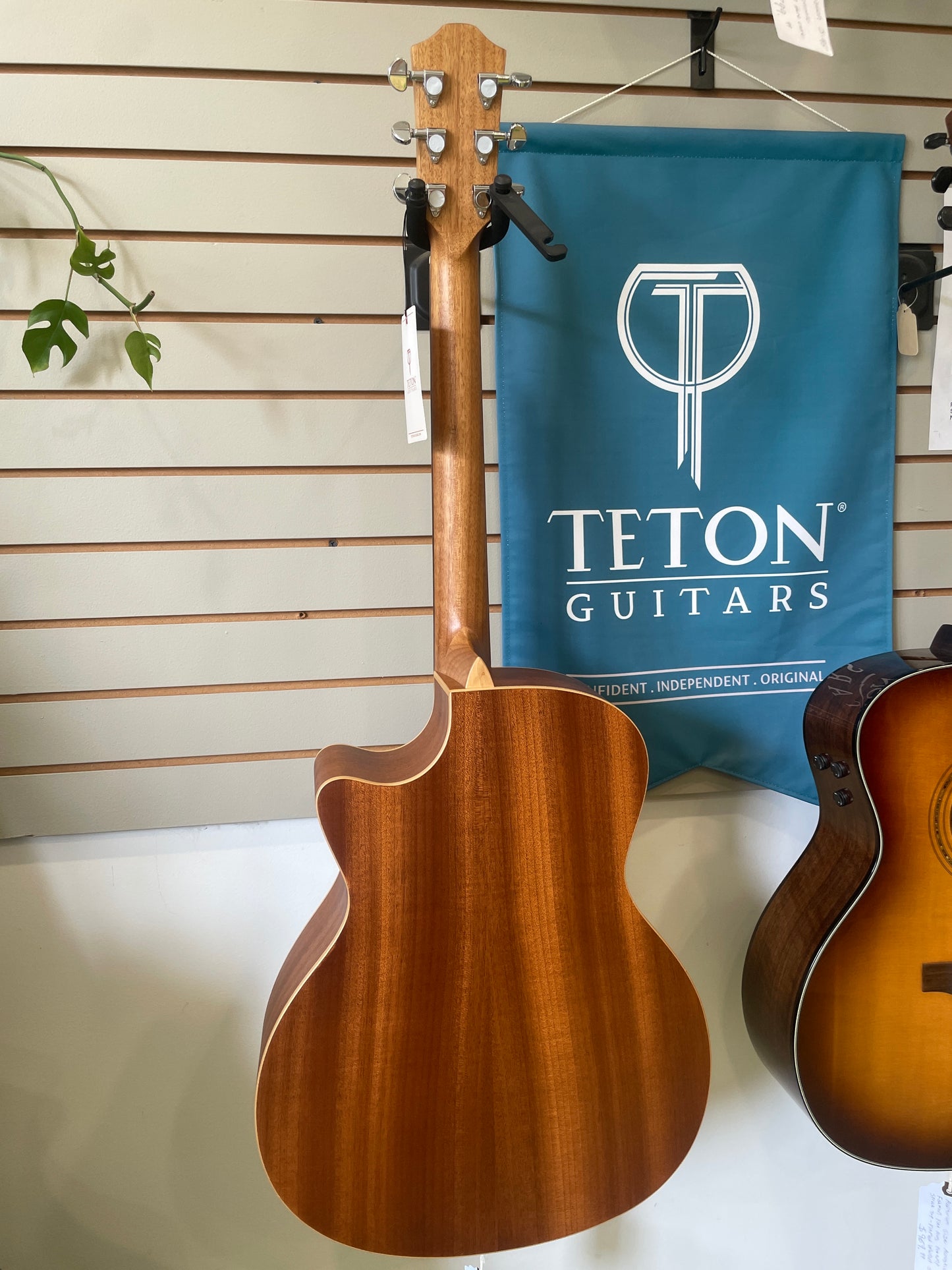 Teton Cedar/Mahogany Acoustic STA105CENT