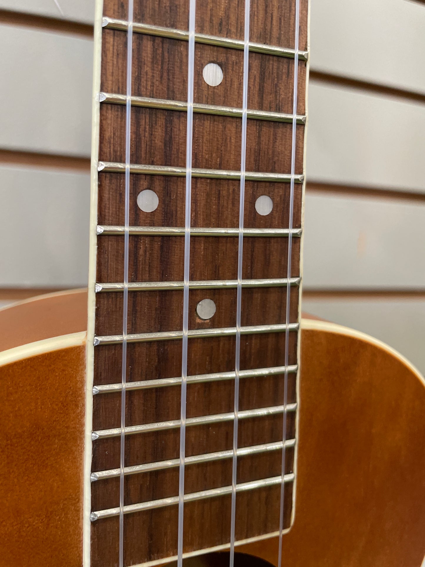 Mitchell Concert Ukulele