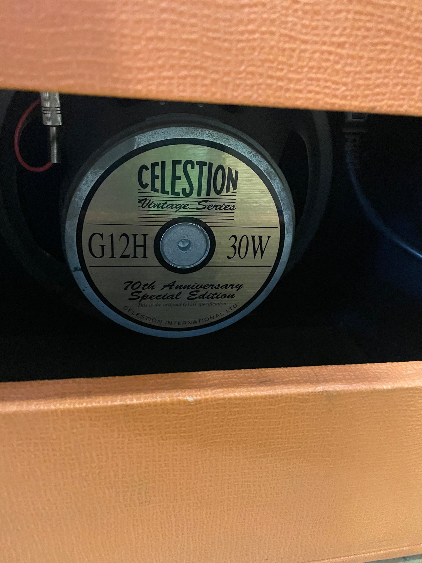 Orange Tiny Terror Tube Combo Amplifier
