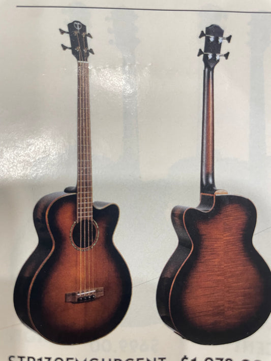Teton Acoustic Bass